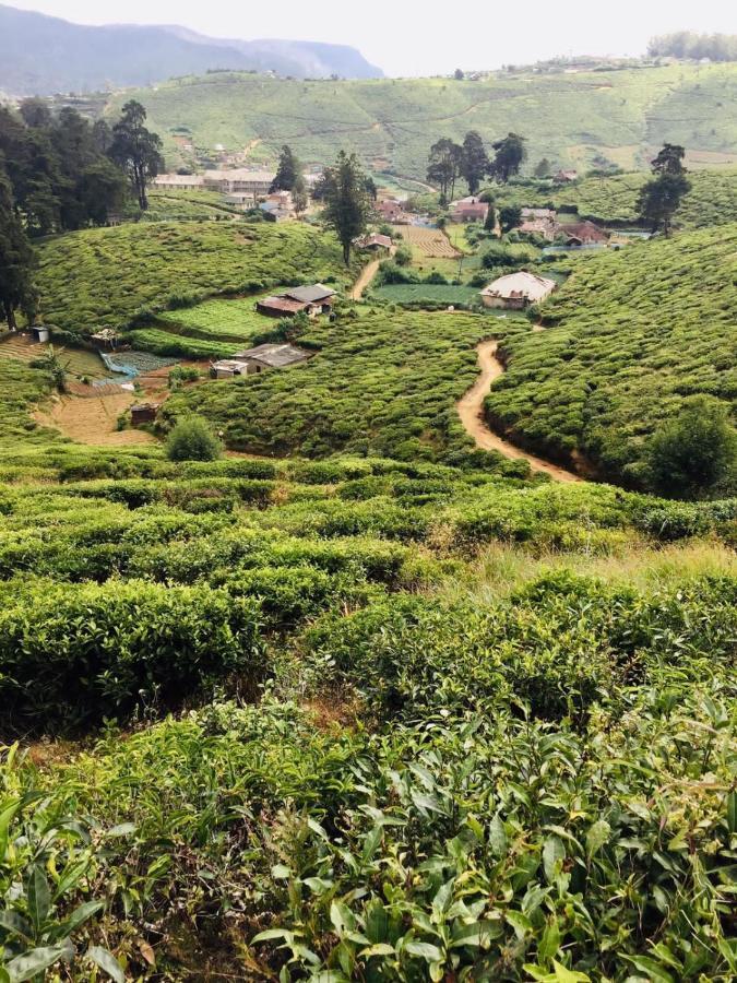 Unique View Nuwaraeliya Hotel Nuwara Eliya Exterior foto